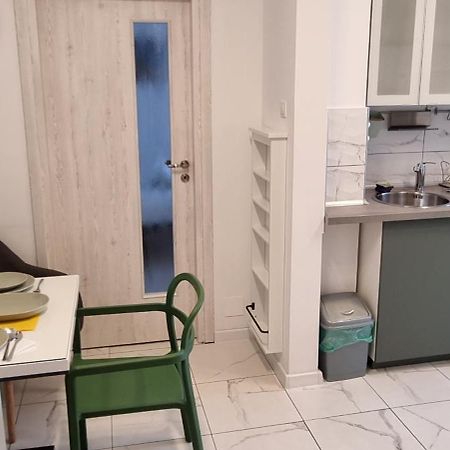 Elisabeta Studio Apartment บูคาเรสต์ ภายนอก รูปภาพ